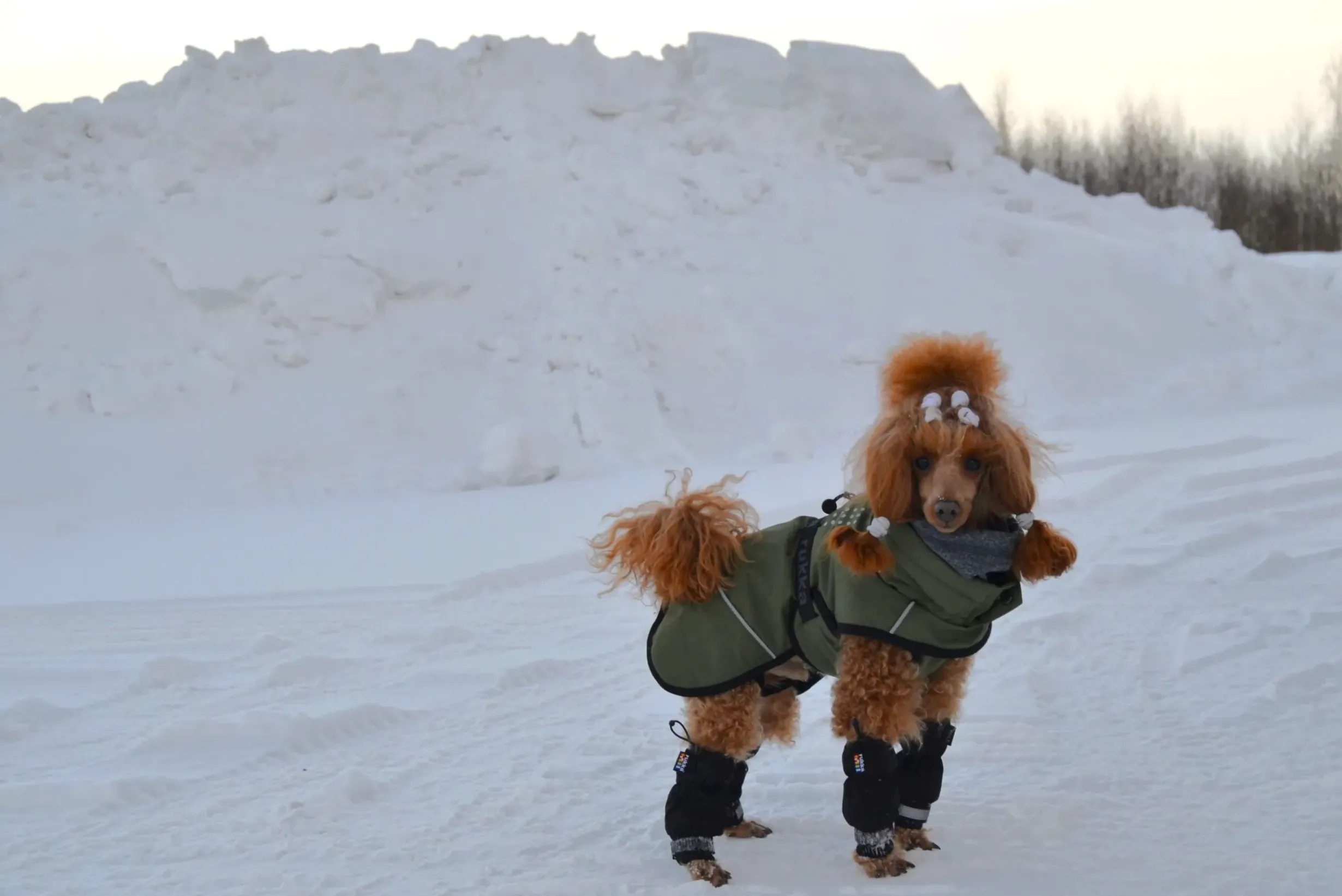 Sale Warmup 2.0 coat Koiran Talvitakit