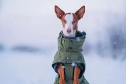 Sale Warmup 2.0 coat Koiran Talvitakit