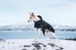 New Warmup 2.0 coat Koiran Talvitakit