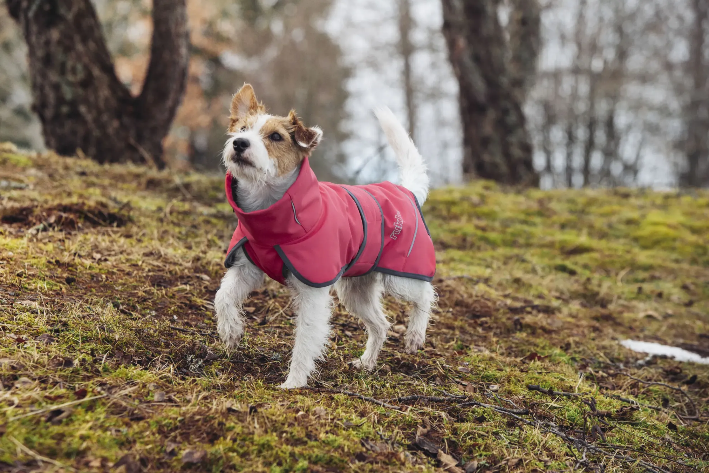 Discount Windy thermal jacket Koiran Talvitakit