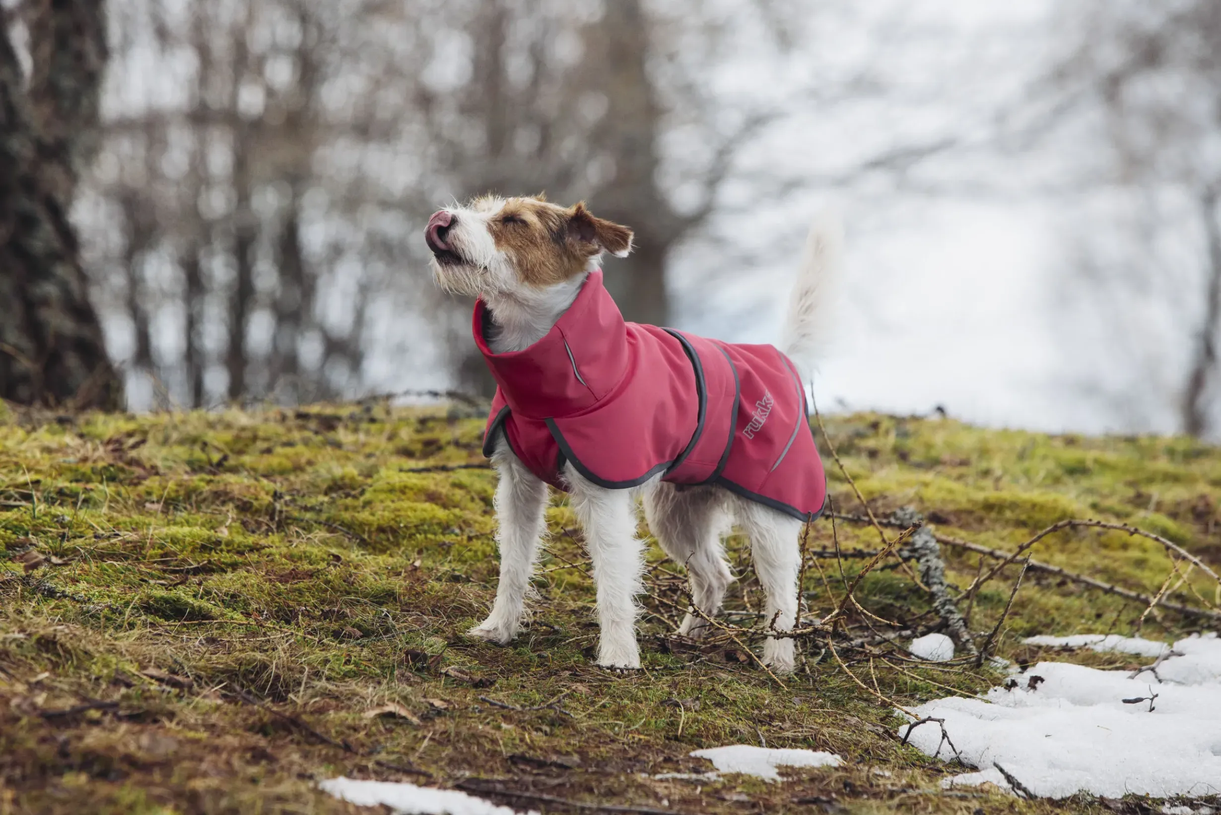 Discount Windy thermal jacket Koiran Talvitakit