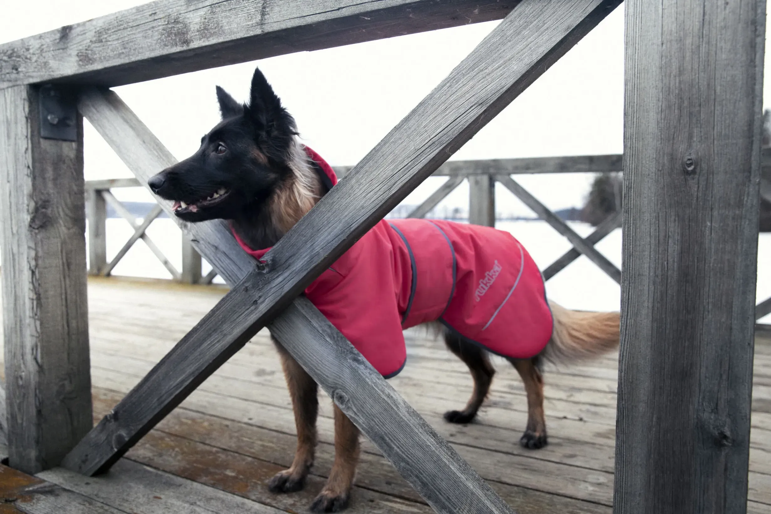 Discount Windy thermal jacket Koiran Talvitakit