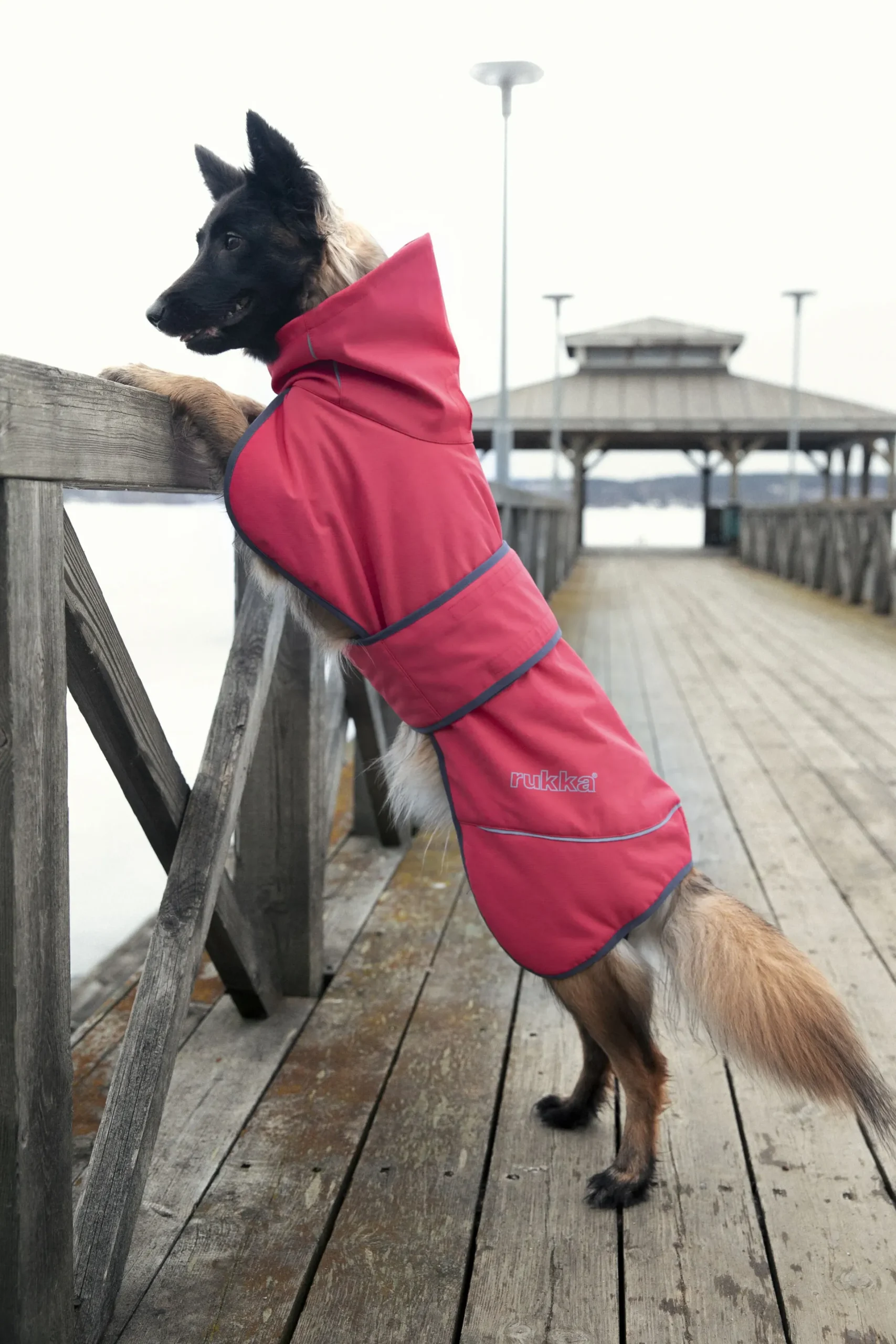 Discount Windy thermal jacket Koiran Talvitakit