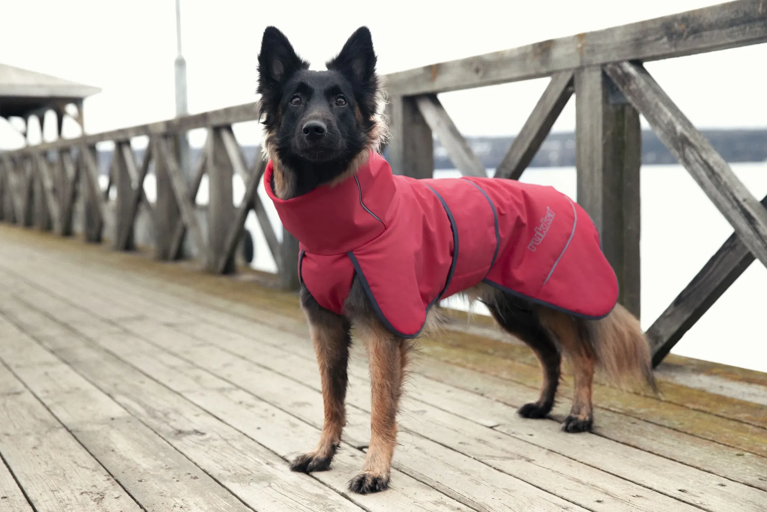 Discount Windy thermal jacket Koiran Talvitakit