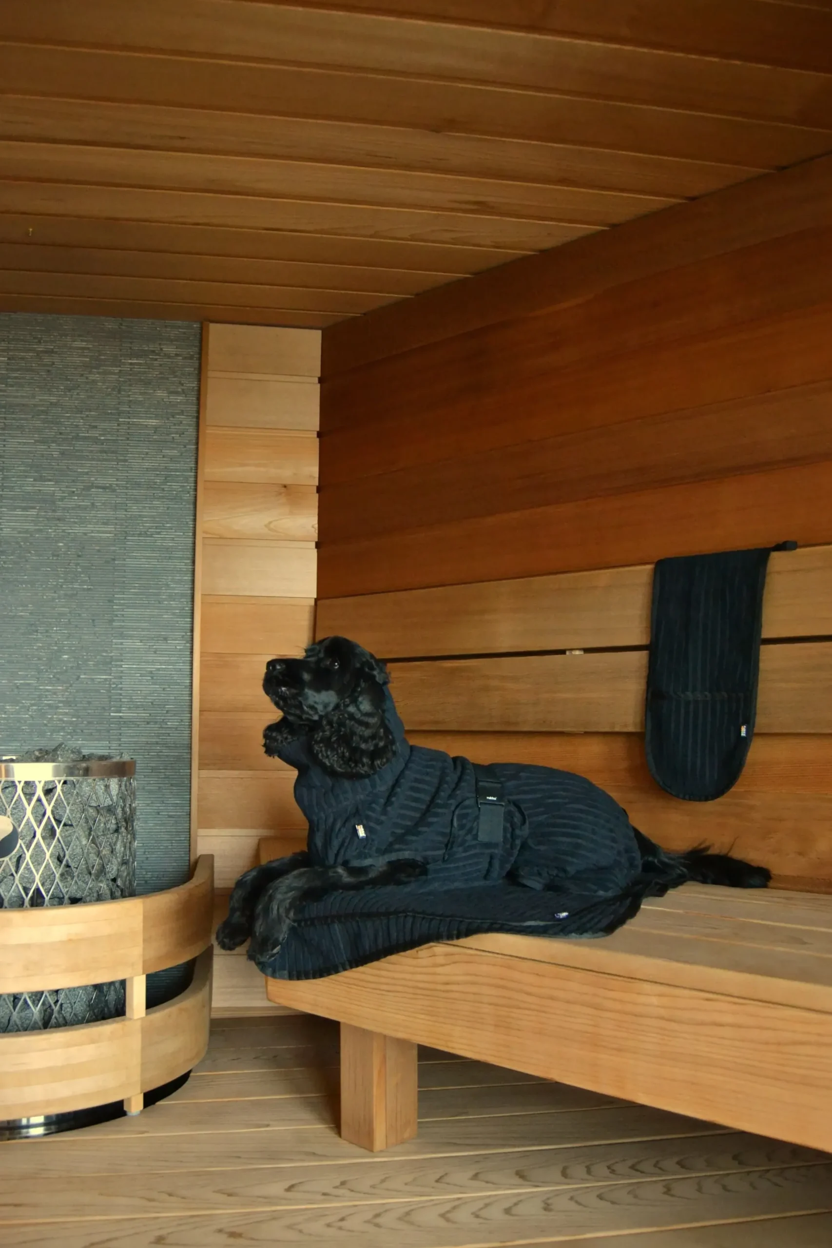 Best x UHTA HOE Aato Pet Bathrobe Tarvikkeet